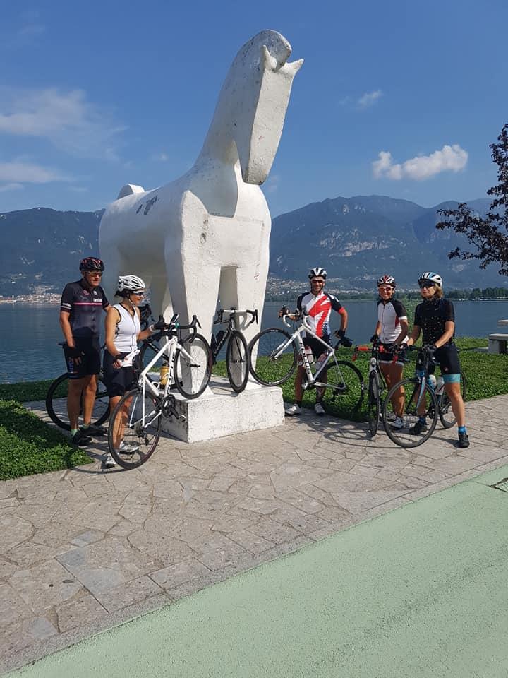Gavia18