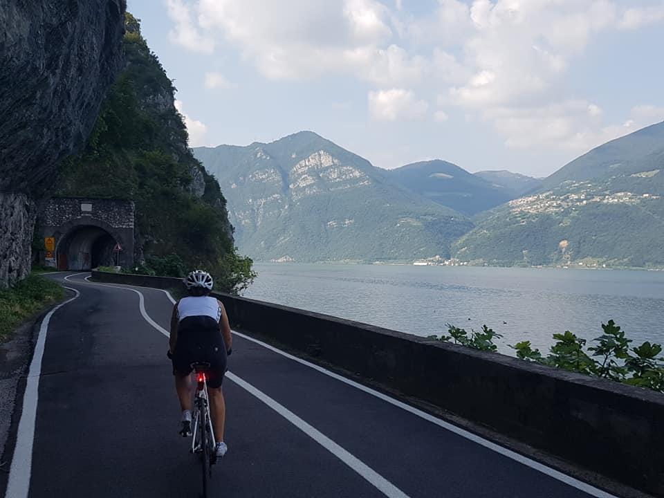 Gavia20