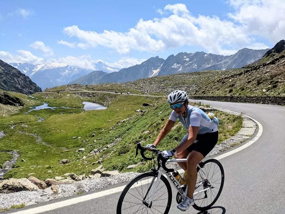 Gavia6