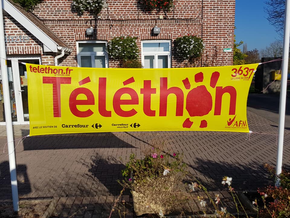 Telethon hinges